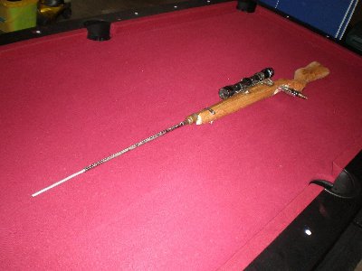 wholegun666.jpg