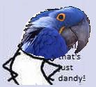 paranoidparrot.JPG