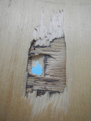 8mm Plywood