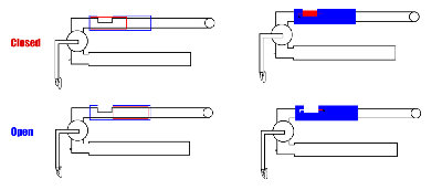 Design1.jpg